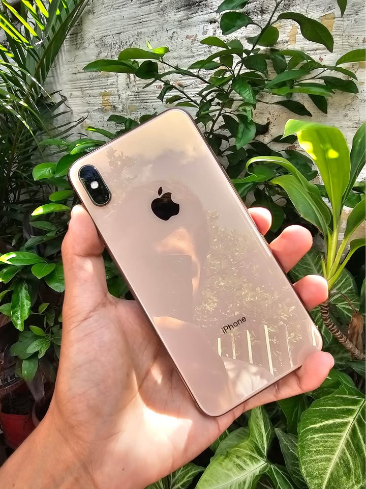 iPhone XS Max 256gb